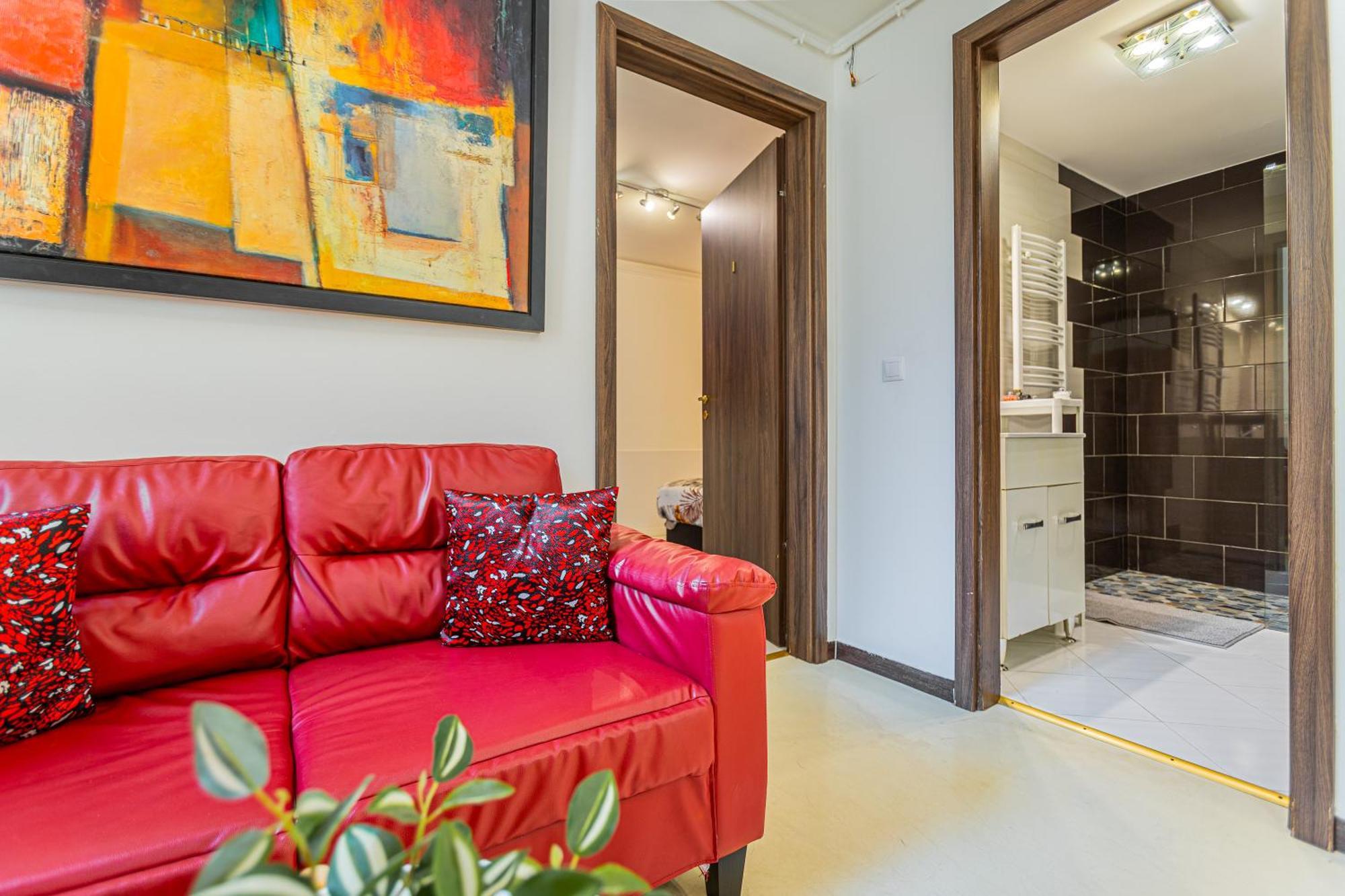 Apartament Fancy